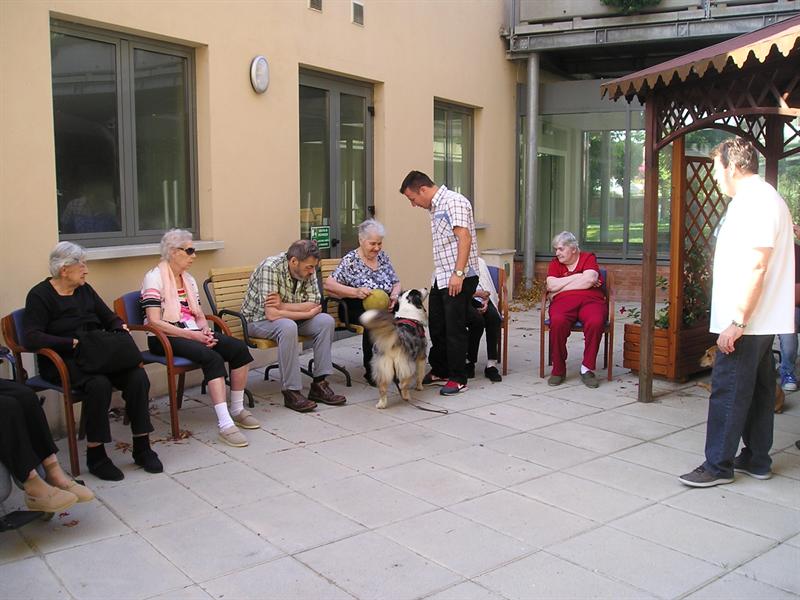 Laboratorio di Pet Therapy